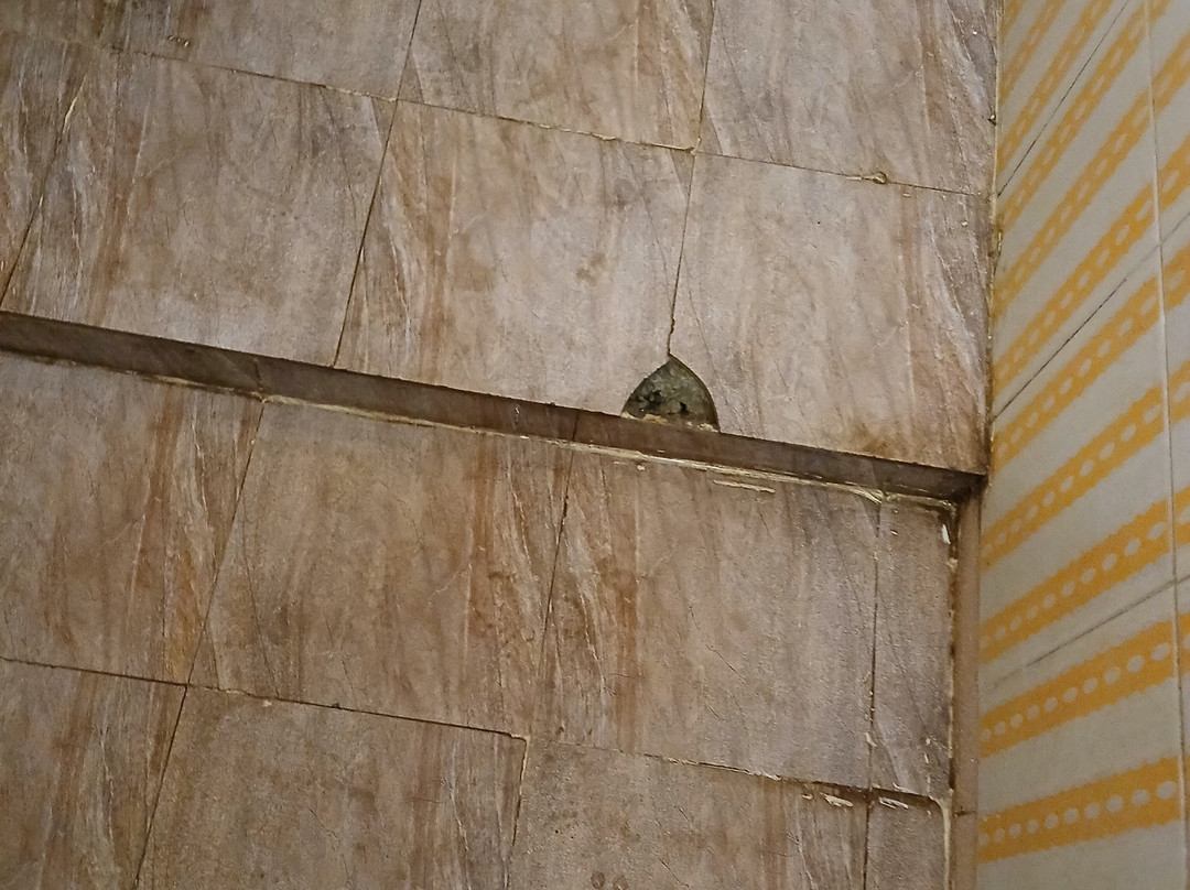 Valley Wood Resort And Spa主图