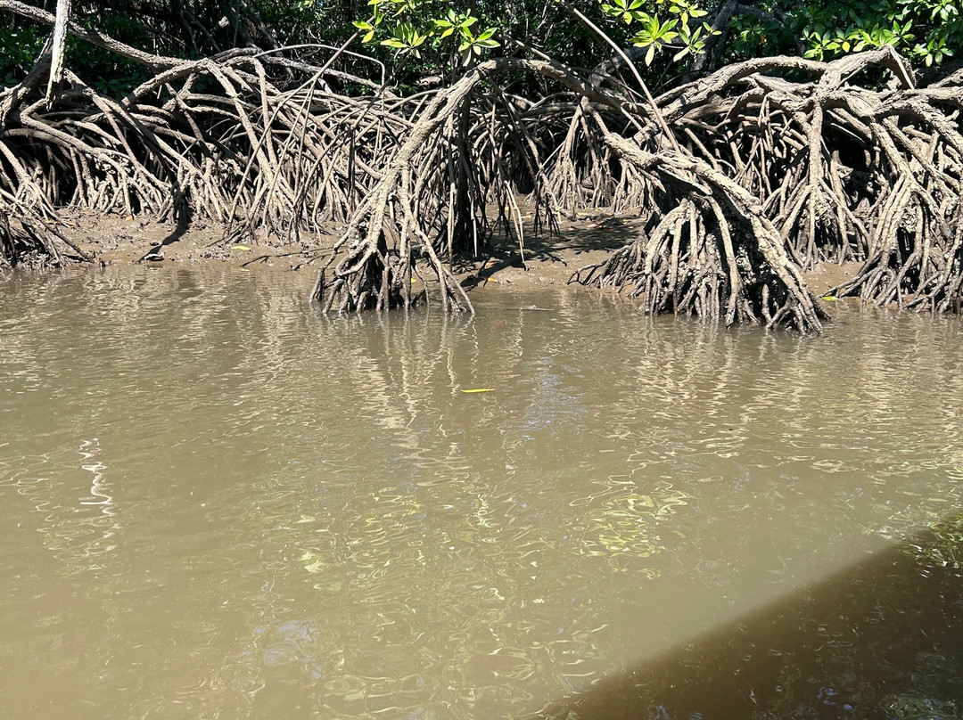 Tamarindo Explorer景点图片