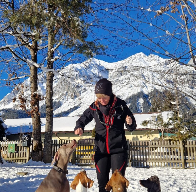 Almfrieden Hotel & Romantikchalet主图