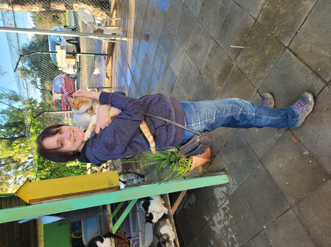 Malcolm Cat Protection Society-null必去景点