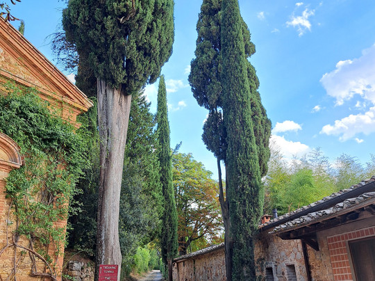 Fattoria del Colle - Agriturismo主图