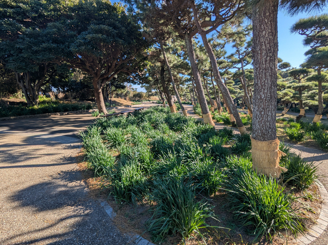 Jogashima Prefectural Park-Jogashima必去景点