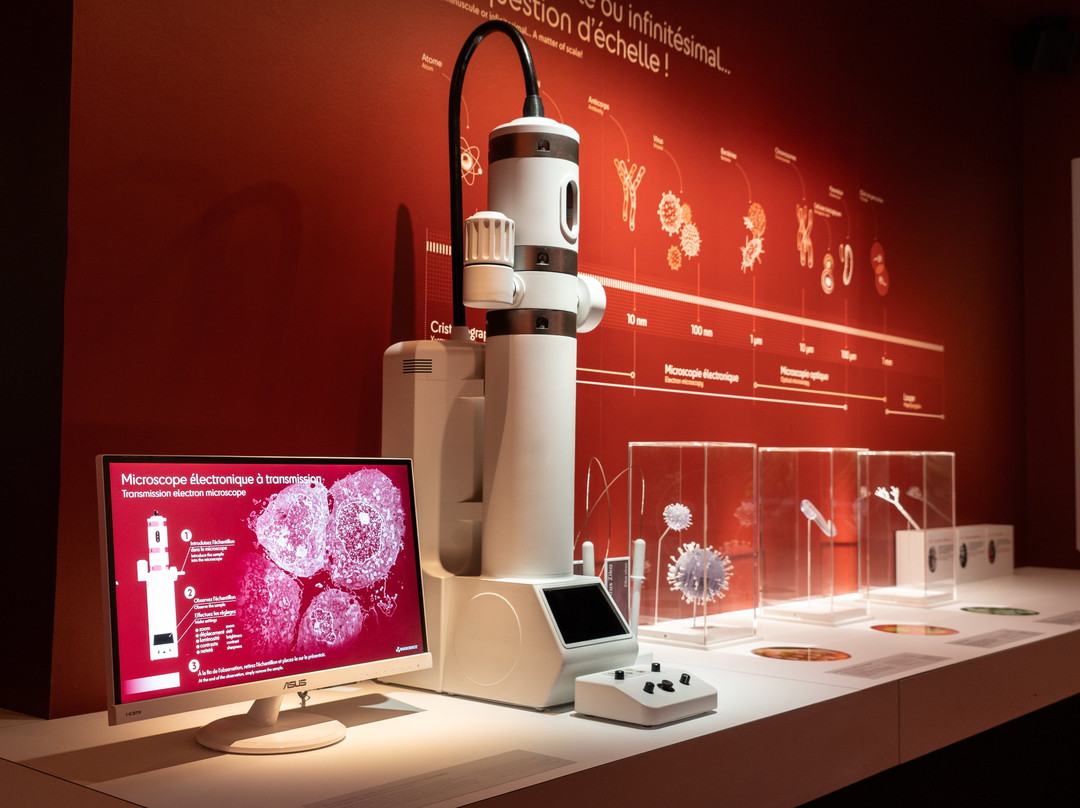 Musee de Sciences Biologiques Docteur Merieux景点图片