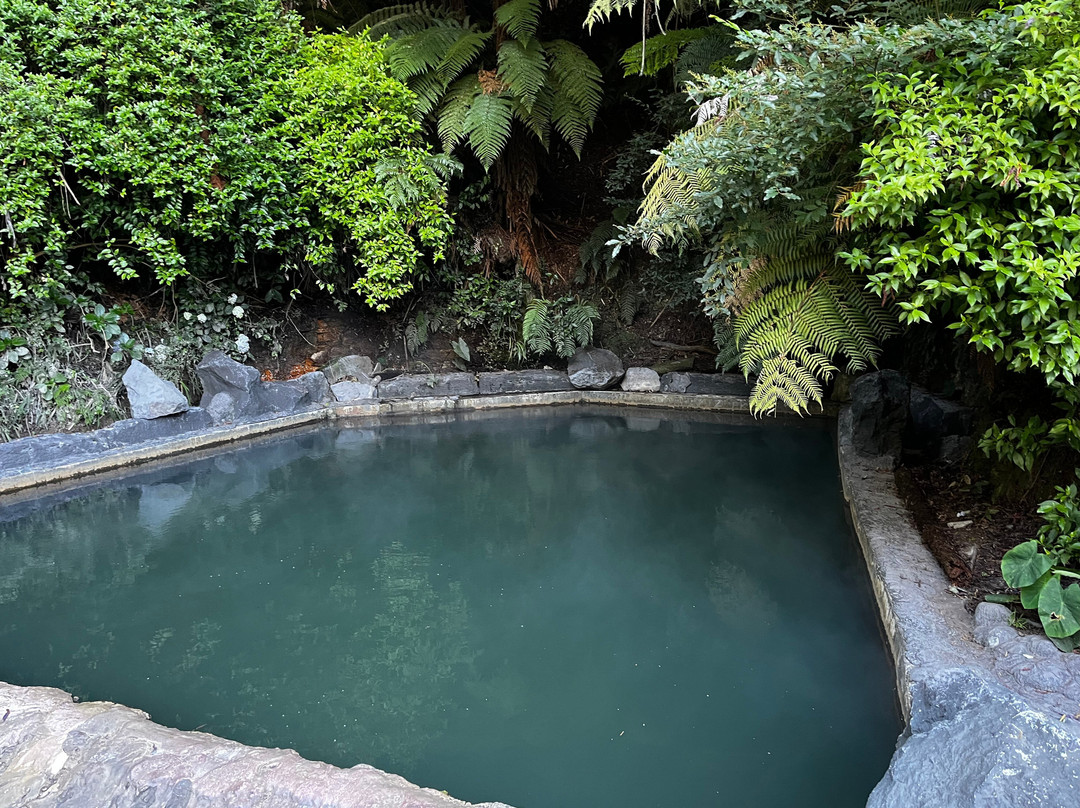 Okoroire Hot Springs Hotel主图