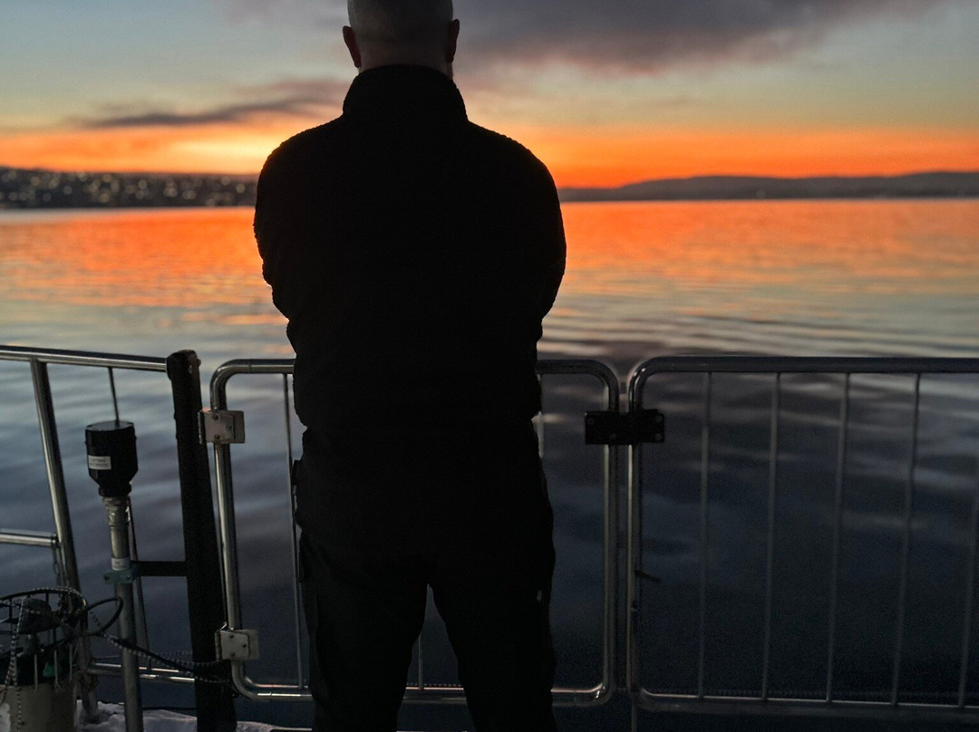 Fjord Cruise Oslofjord-奥斯陆必去景点