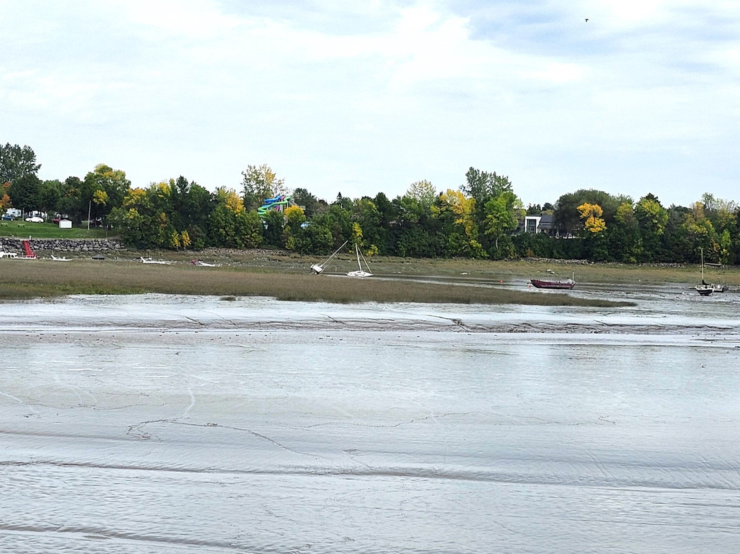 Le Jardin des Souches et la Promenade du Bassin-Montmagny必去景点