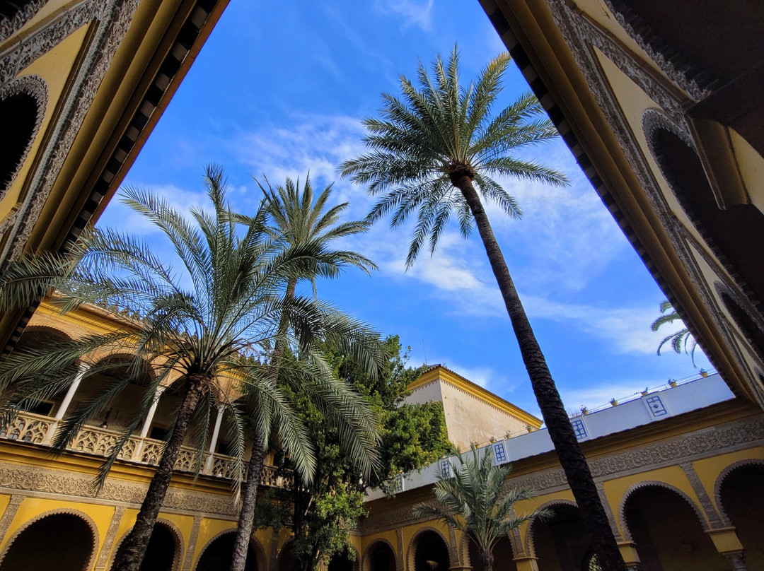 Palacio De Las Duenas-塞维利亚必去景点