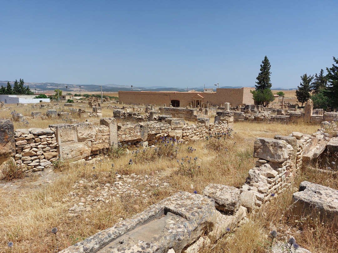 Madaure Ruins-Souk Ahras必去景点