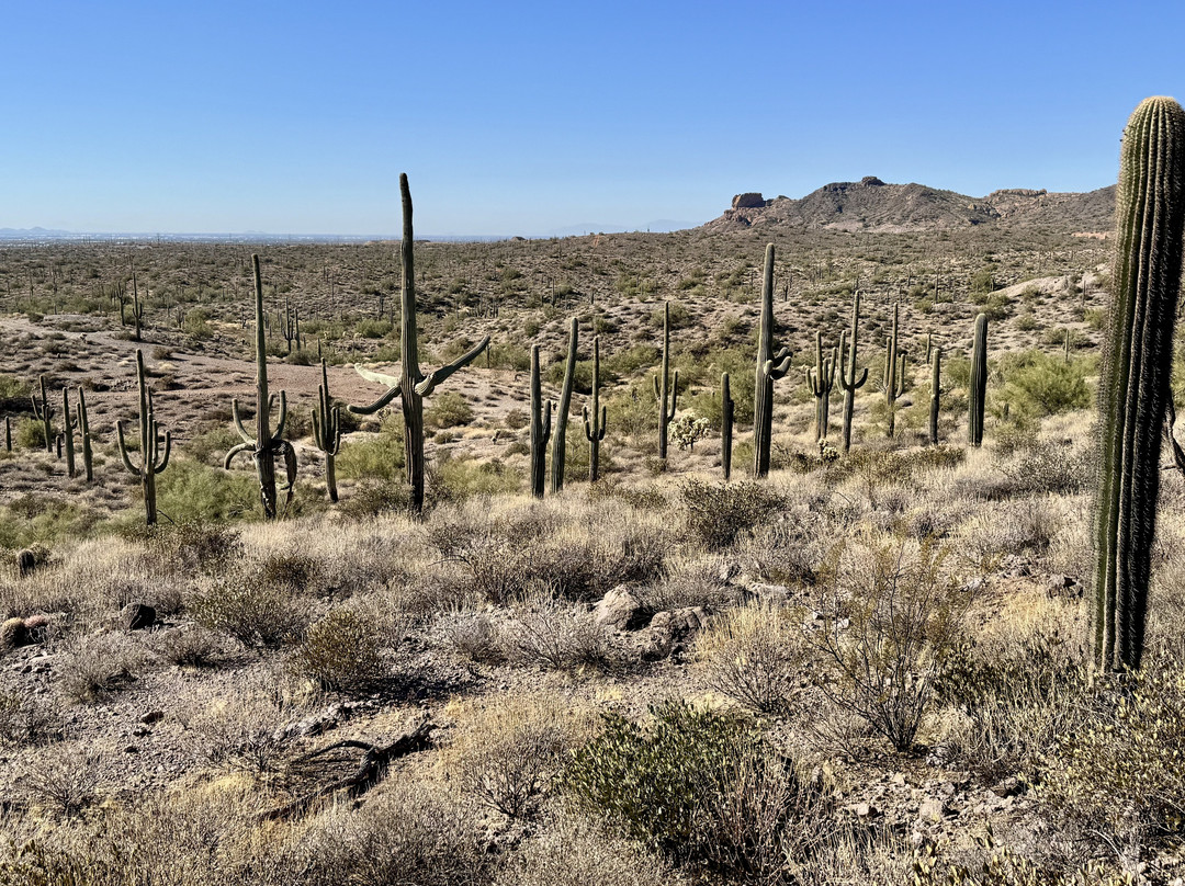 OK Corral-Apache Junction必去景点