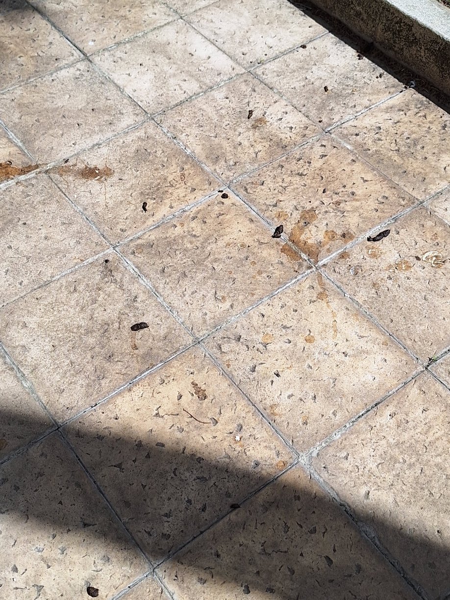 voco 阿鲁巴冲浪边酒店 by IHG-浴室