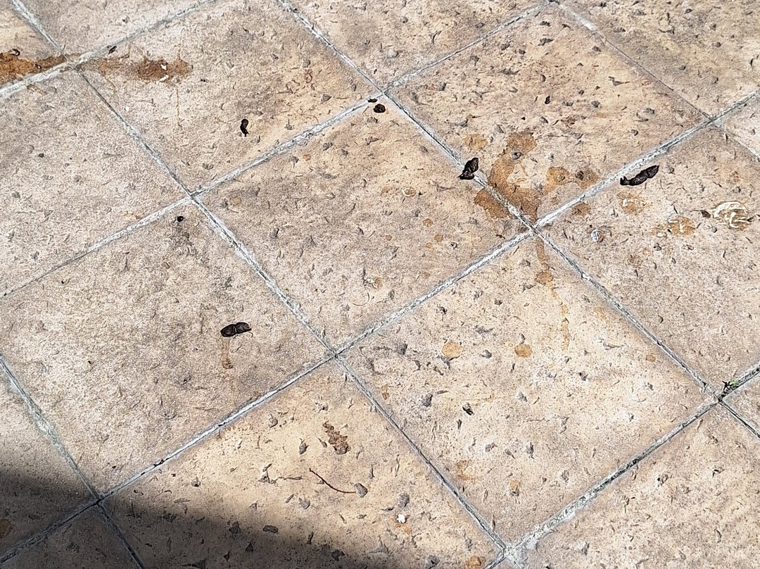 城中话题饭店及海滩俱乐部主图