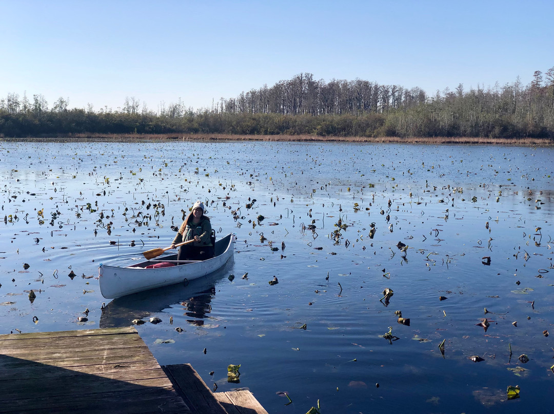 Okefenokee & Satilla Expeditions LLC-Folkston必去景点