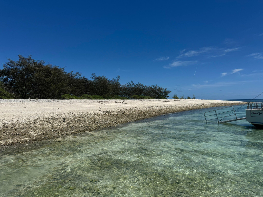 Lady Musgrave Cruises-1770镇必去景点