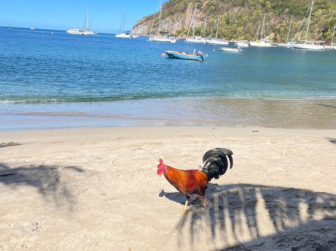 Plage de la Perle-Rifflet必去景点