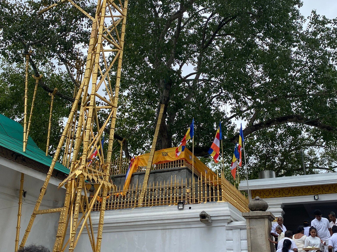 Ceylondew Holidays-加勒必去景点