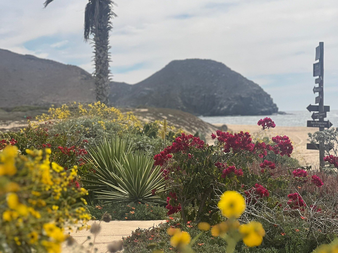 Guaycura Boutique Hotel Beach Club & Spa主图