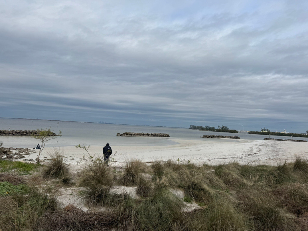 Apollo Beach Nature Preserve-Apollo Beach必去景点