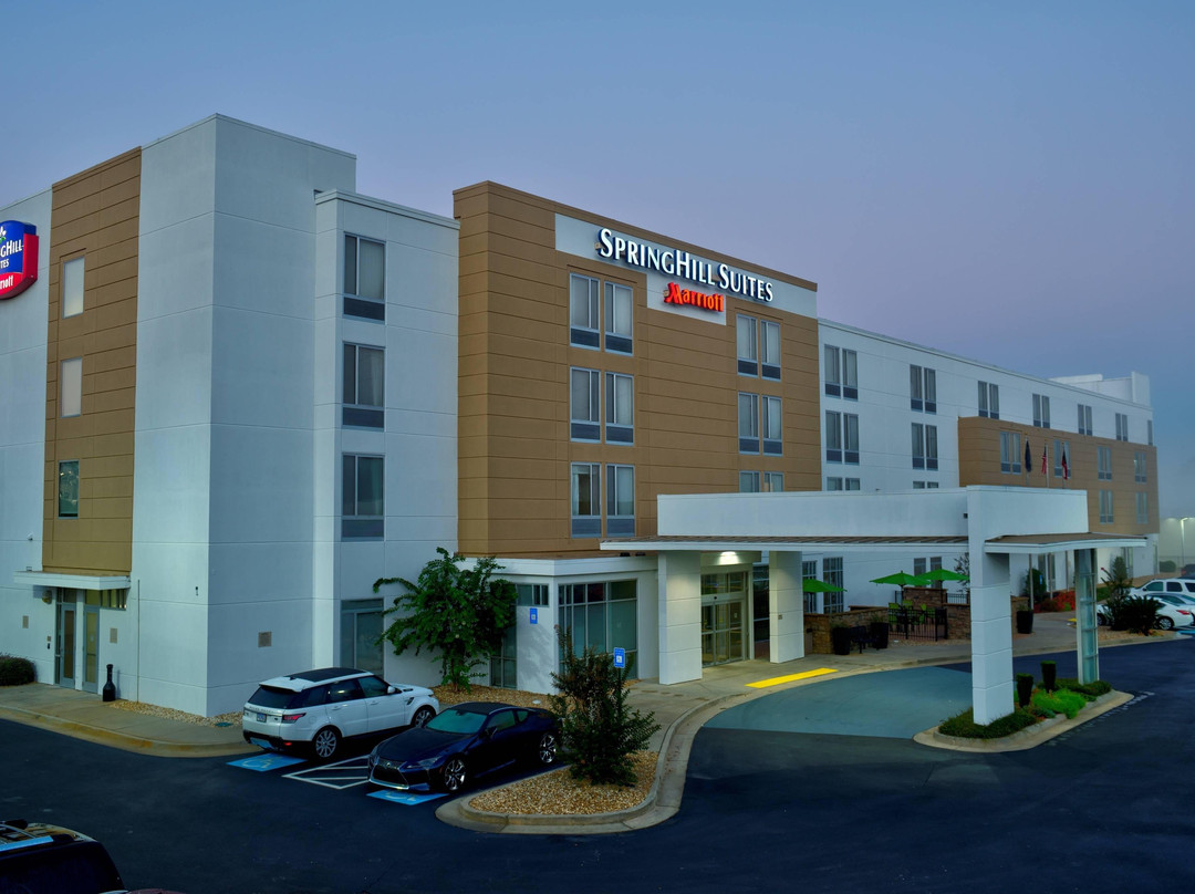 SpringHill Suites by Marriott Macon主图