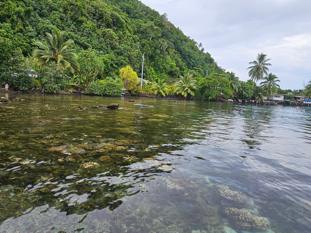 Tahiti iti pearl farm - La Ferme Perlière Touristique de Tahiti-景点图片
