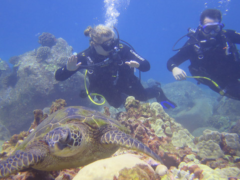 Kauai Dive Co-坡伊普必去景点