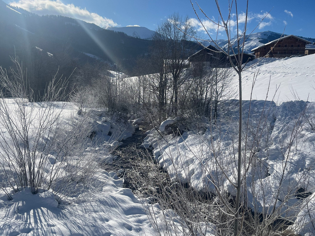 Landhotel Schafhuber主图