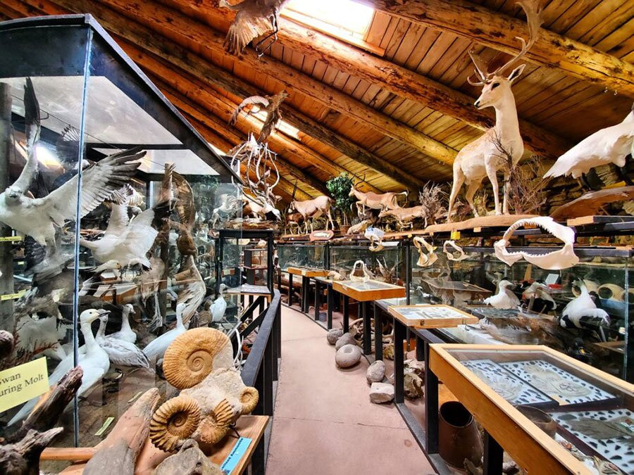 Idaho's Mammoth Cave-Shoshone必去景点