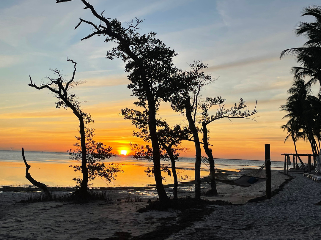 My Coastal Adventure-Big Pine Key必去景点