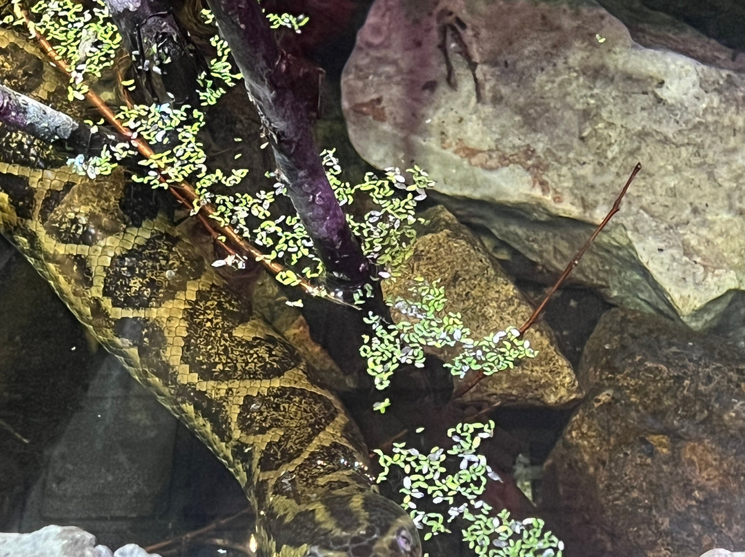 Stare Zoo Poznan-波兹南必去景点
