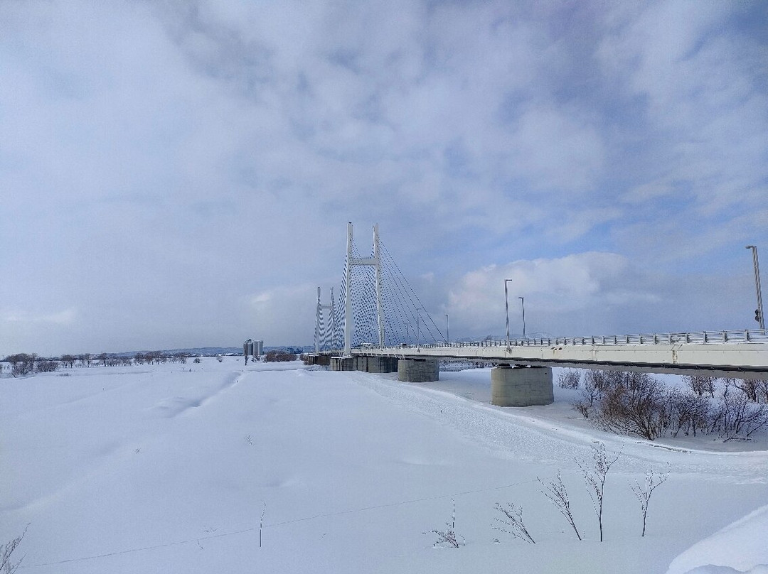 Tappu Great Bridge-新筱津村必去景点