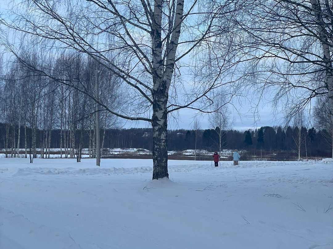 Volzhsky Priboy Hotel主图