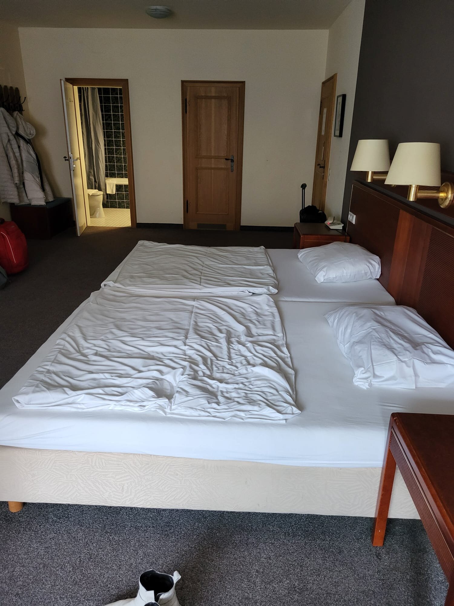 Sauerland Alpin Hotel-客卧