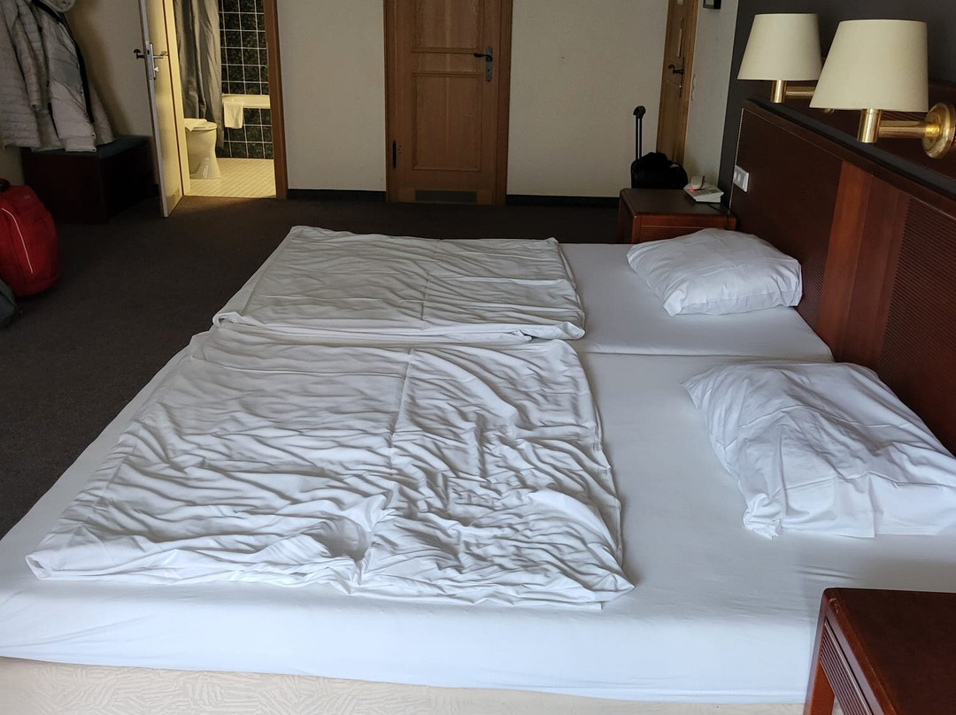 Sauerland Alpin Hotel主图