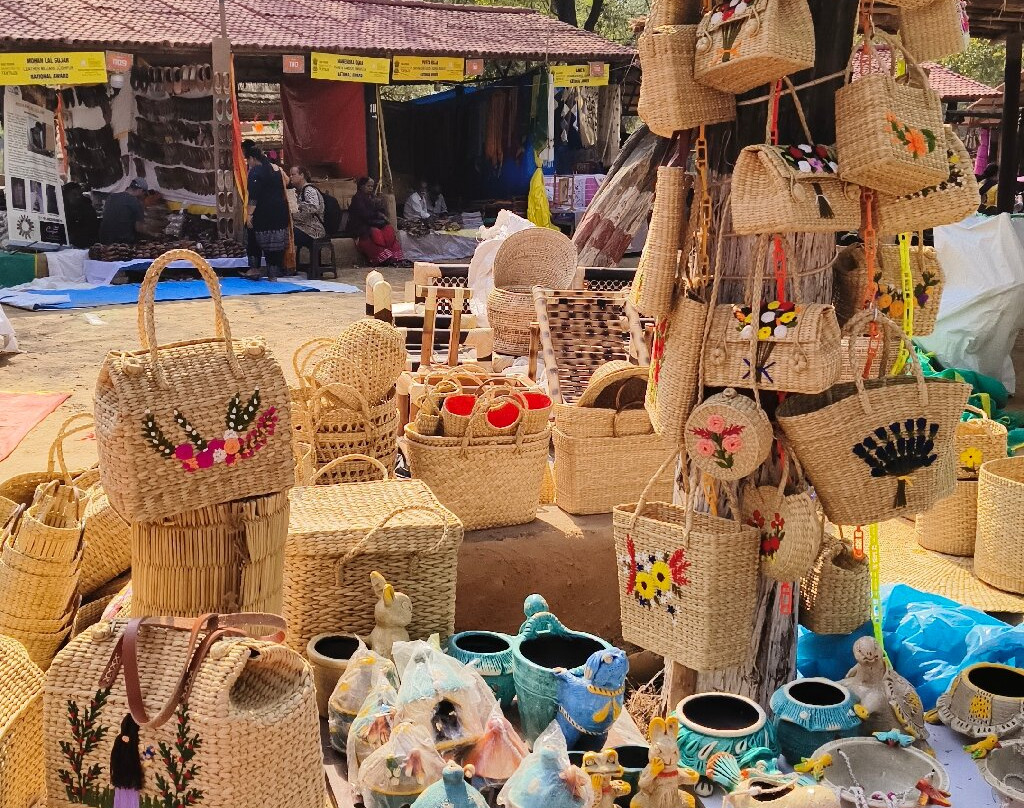 Surajkund International Crafts Mela景点图片