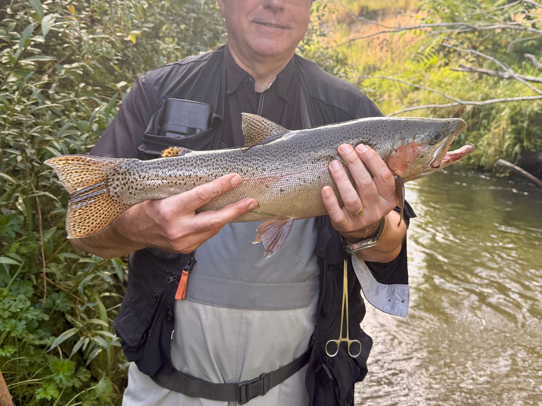 Rotorua Trout Guide景点图片