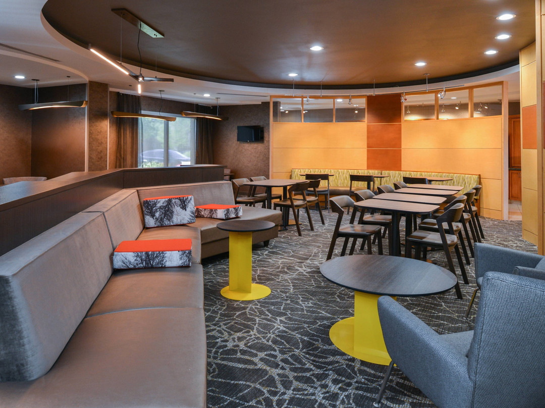 Leona Valley酒店住宿-SpringHill Suites by Marriott Lancaster Palmdale