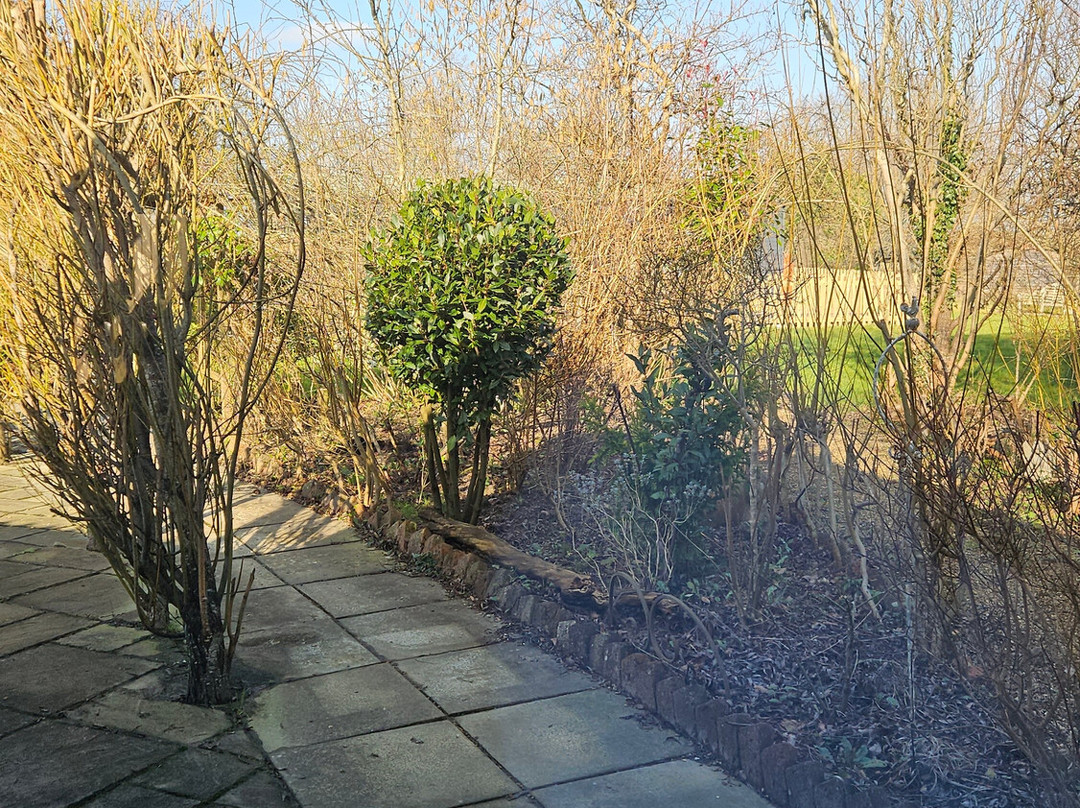 Bloomsburys Biddenden Spa景点图片