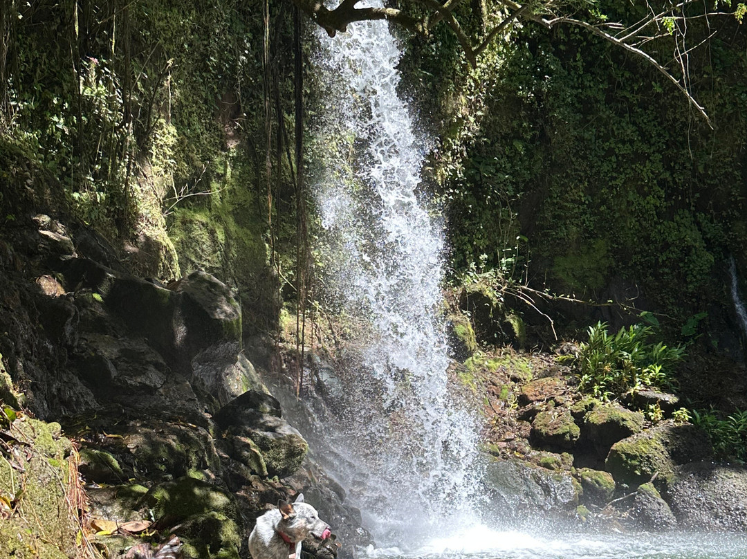 Viento Fresco Waterfall景点图片