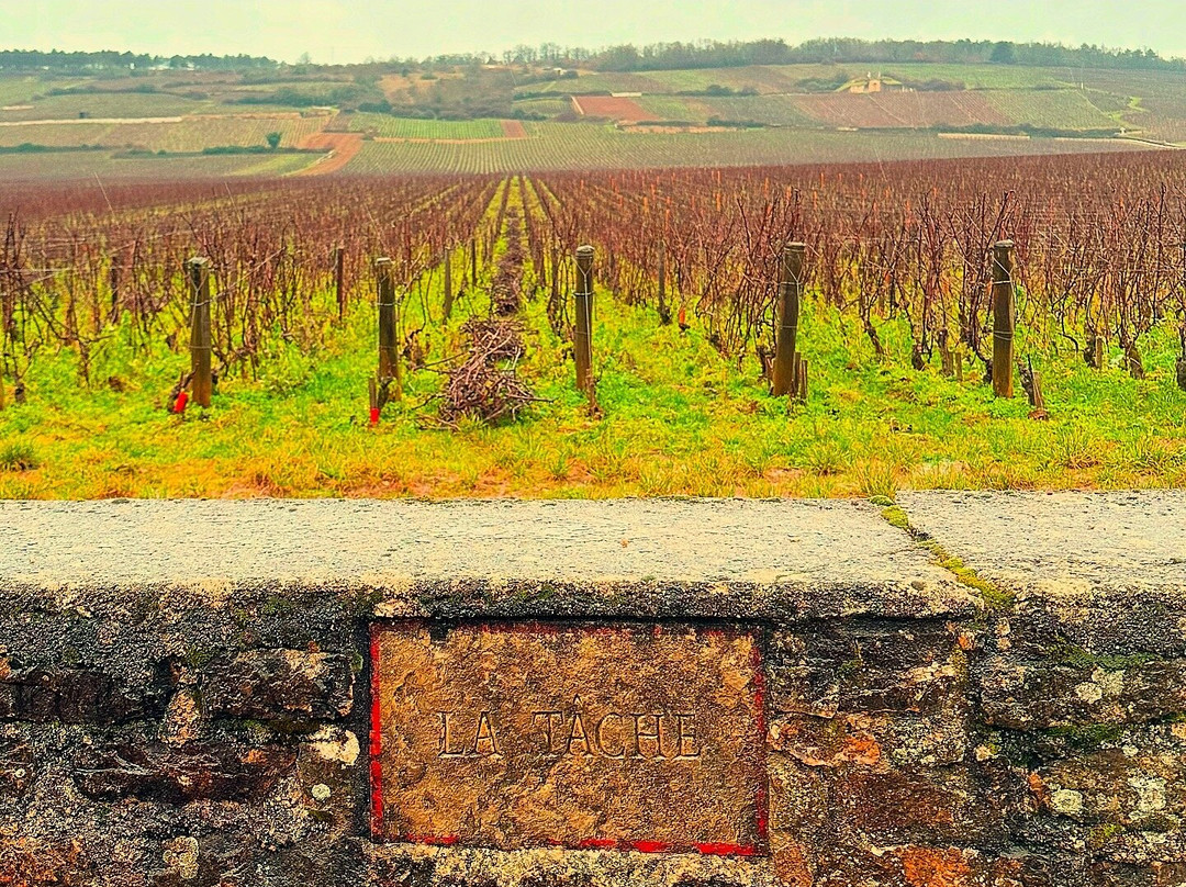 Chemins de Bourgogne景点图片