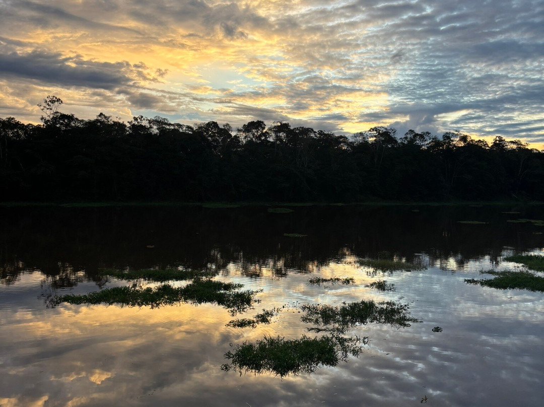 Amazon Backpackers Tours-玛瑙斯必去景点