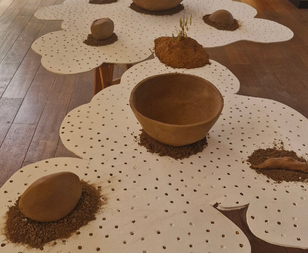 National Archaeological Museum Aruba-奥腊涅斯塔德必去景点