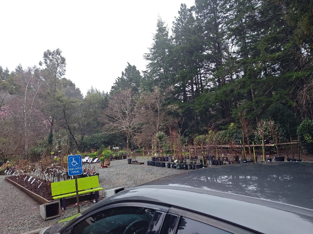 Dragonfly Farm & Nursery