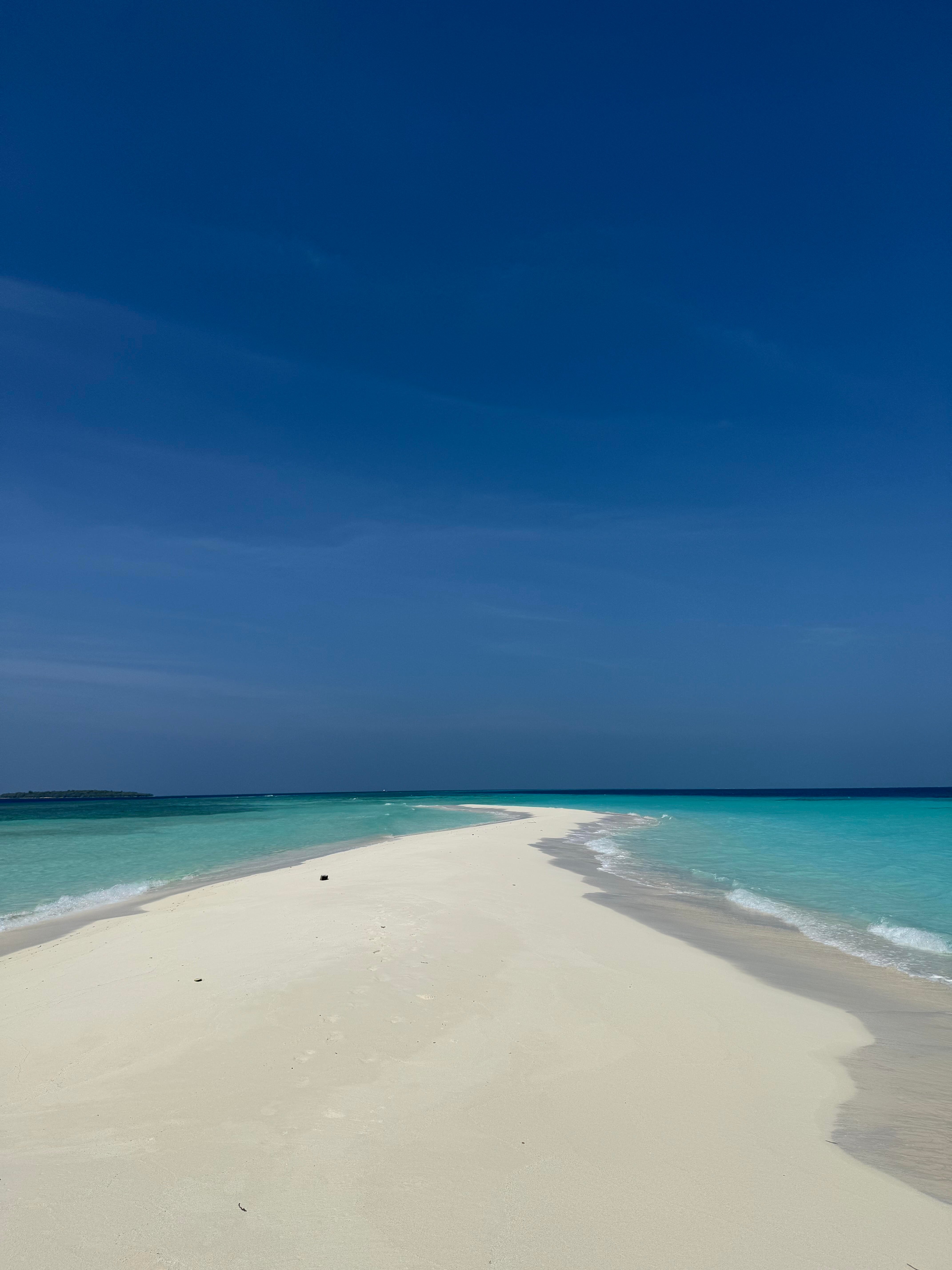 Waadhee Inn Vashafaru-泳池