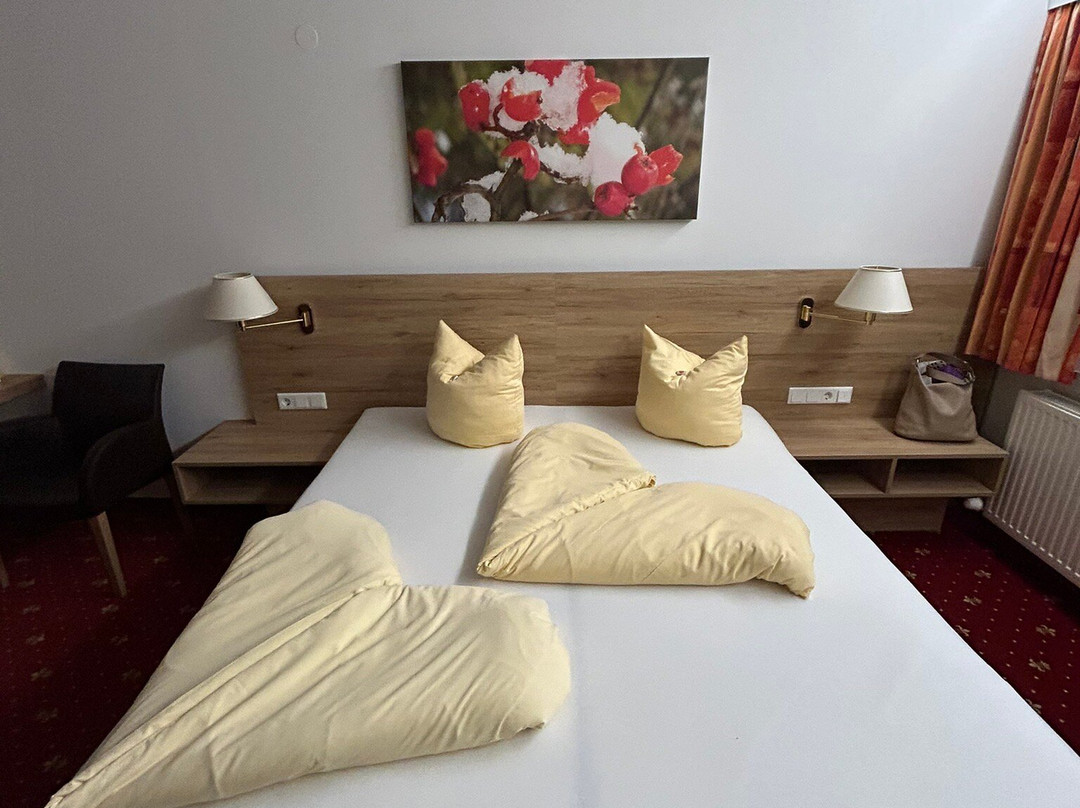 Pension Spiegl主图