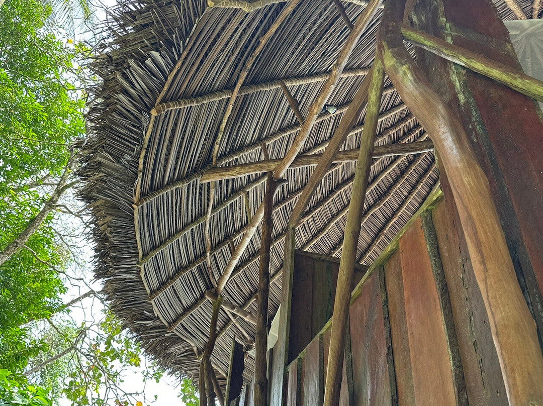 Al Natural Resort主图