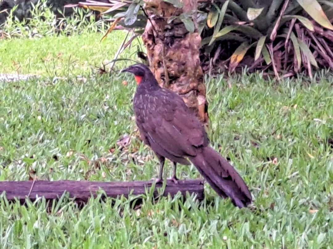Hospedaria Nova Gokula - Lótus --Pindamonhangaba必去景点