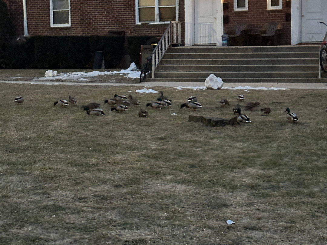 大奈克旅馆主图