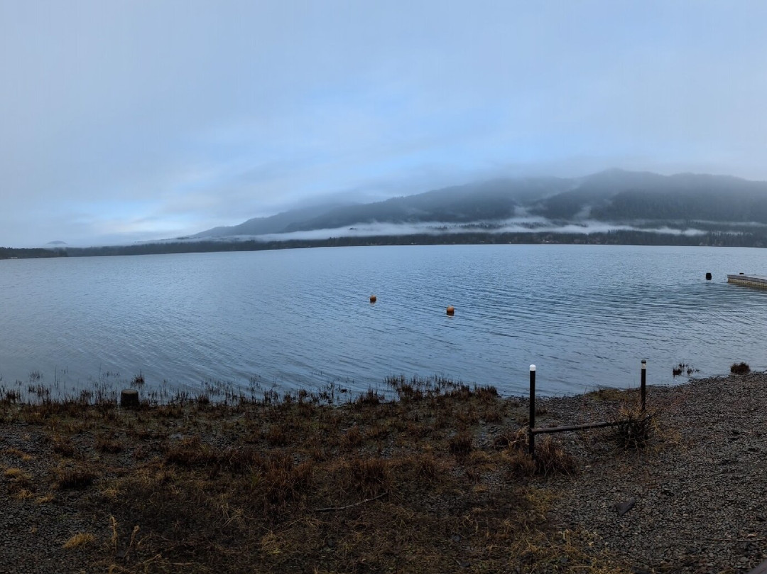 Lake Quinault景点图片