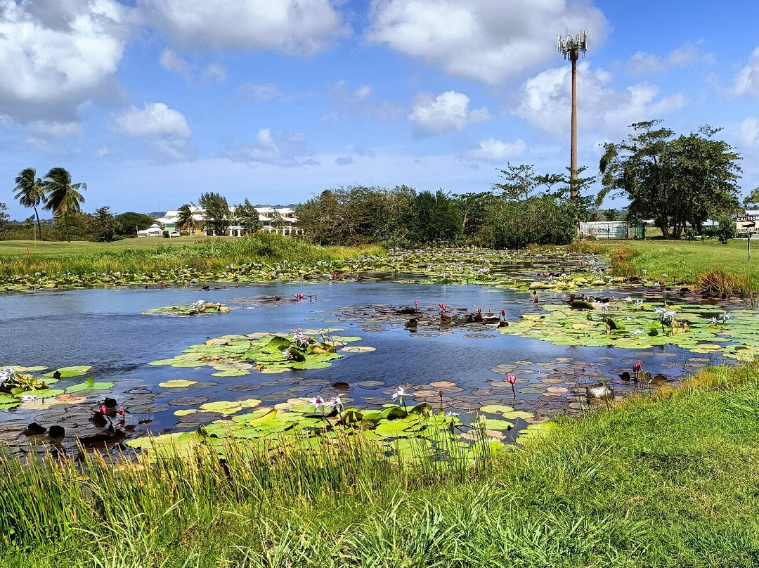NG & Company Nature Tours-Speyside必去景点