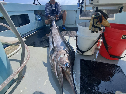 Ruckus Sportfishing and Diving-火奴鲁鲁必去景点