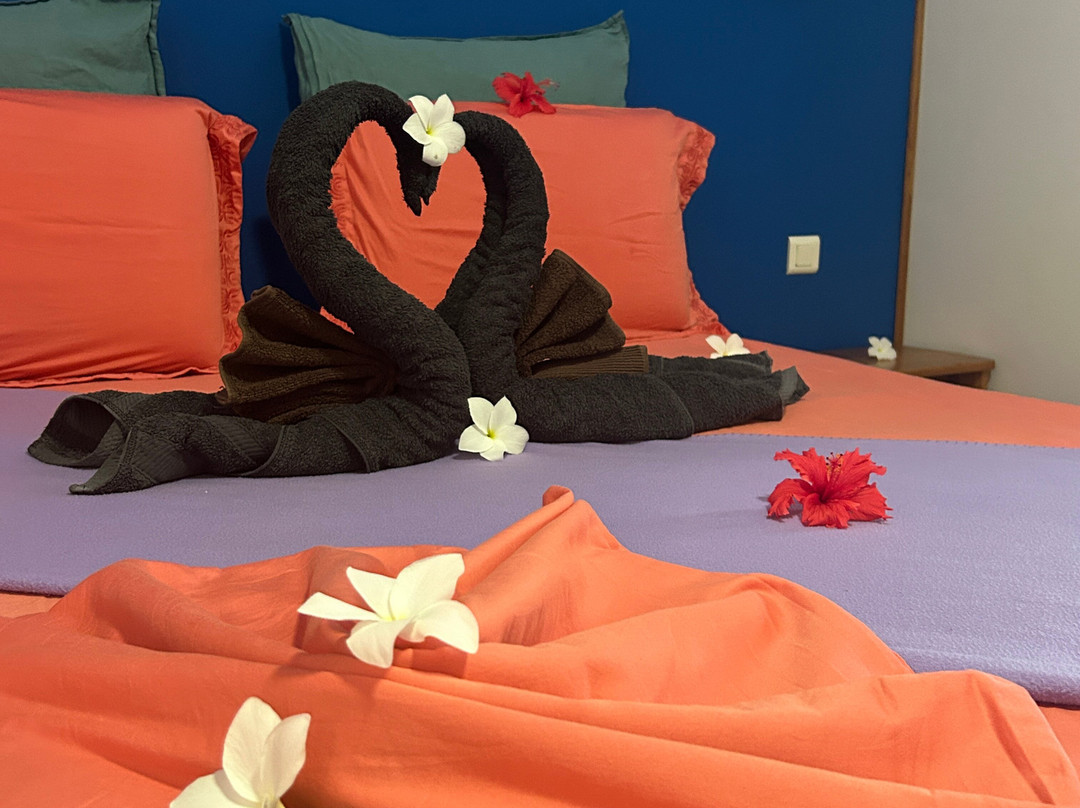 Bounty Rangiroa - Lodge & Boutique Hotel主图